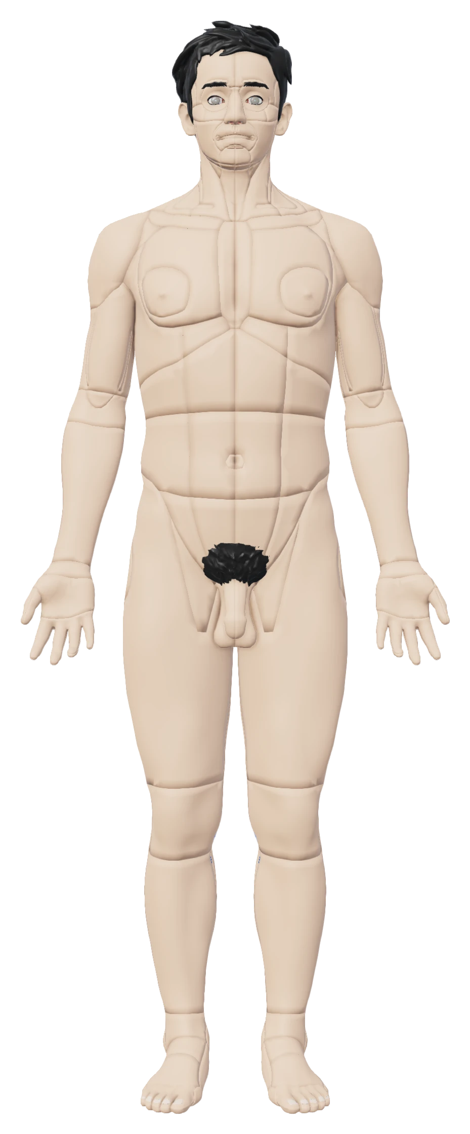 The body at 0% dissection depth: the intact anatomy, nothing removed